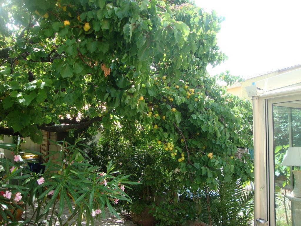Le Soleil Bleu Bed and Breakfast Fréjus Esterno foto